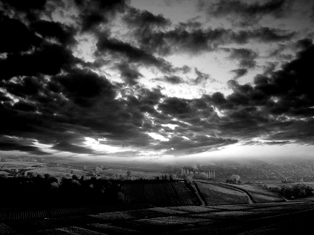 Обработанные земли в пригороде обои