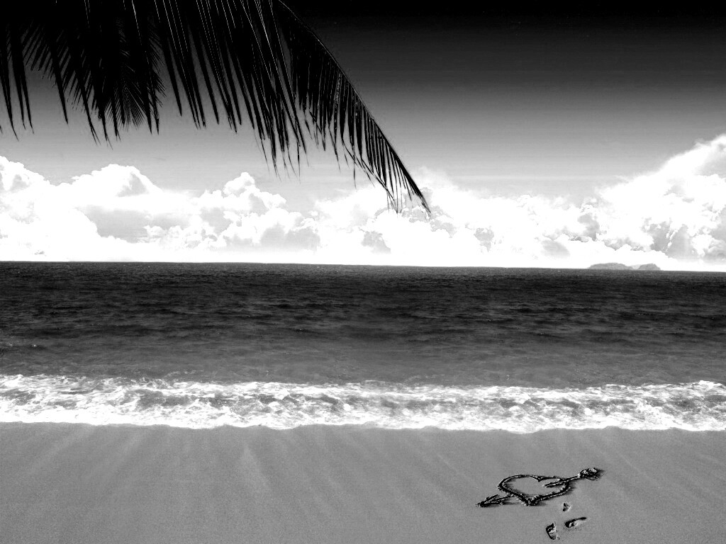 Любовь на океанском берегу обои