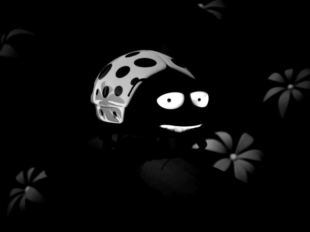 Глазастая божья коровка обои