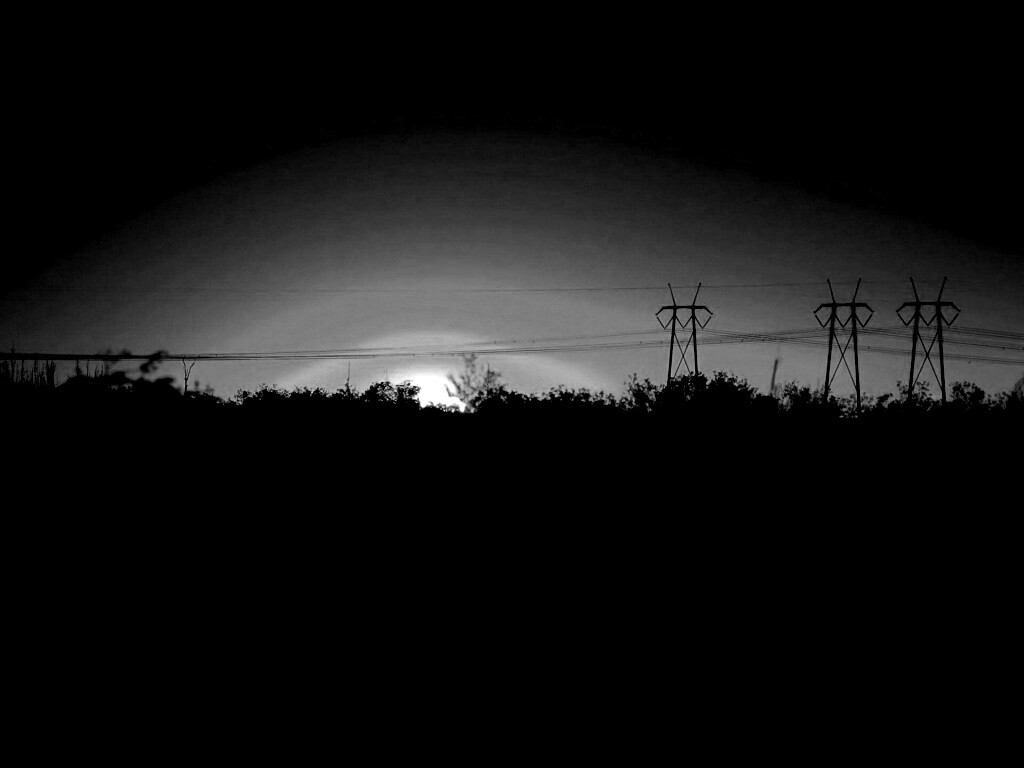 Закат за лесом обои