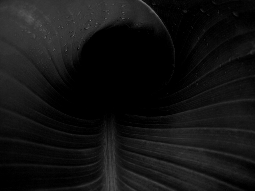 Свернутый в трубочку лист обои