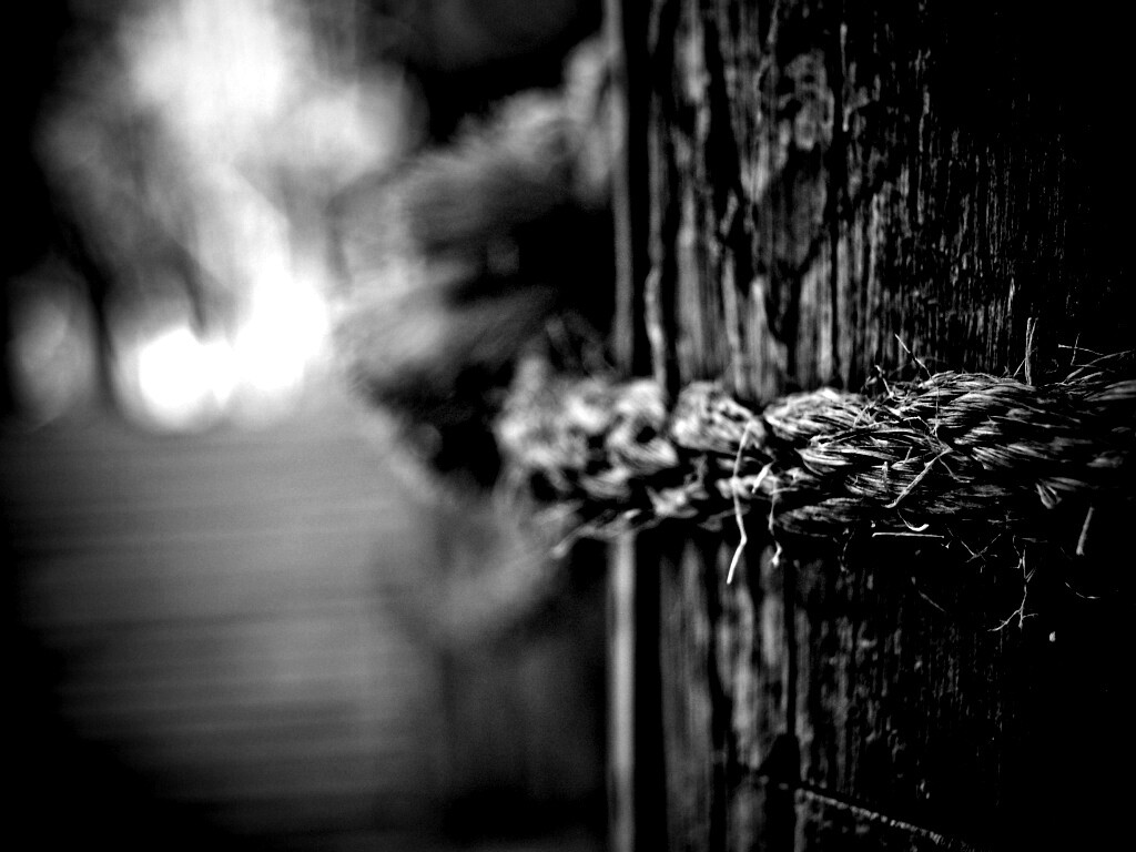 Веревка на деревянном столбе обои