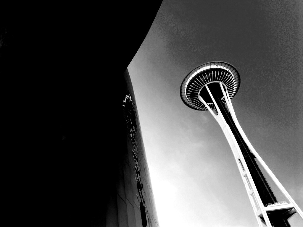 Space Needle Tower обои