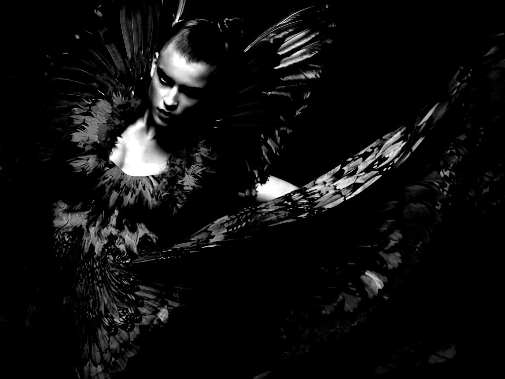 Костюм жар птицы обои