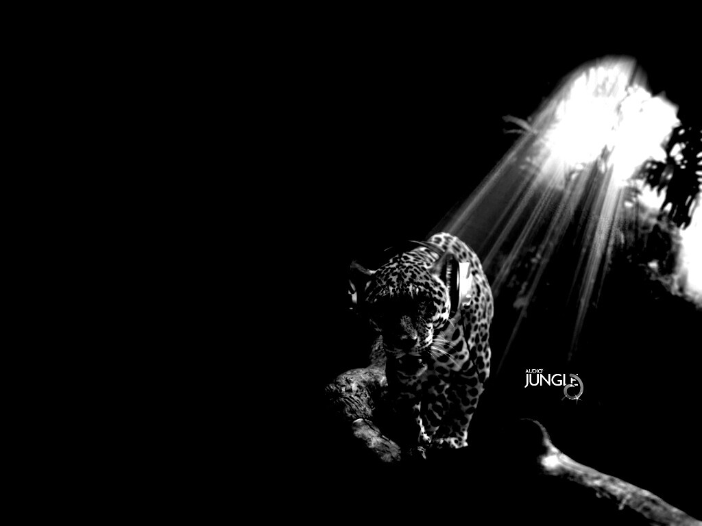 Ягуар в наушниках обои