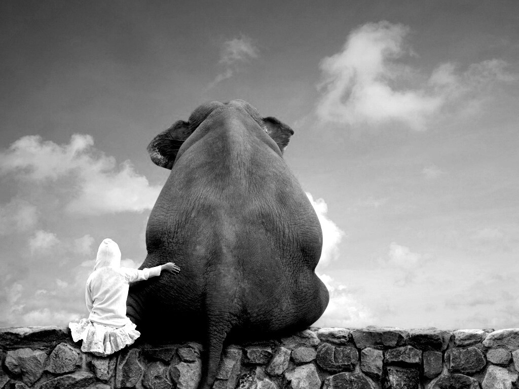Девочка и слон обои