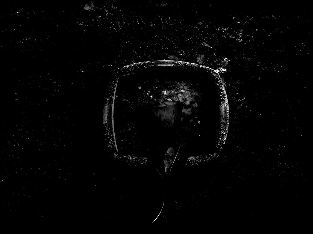 Роза на картинной раме обои