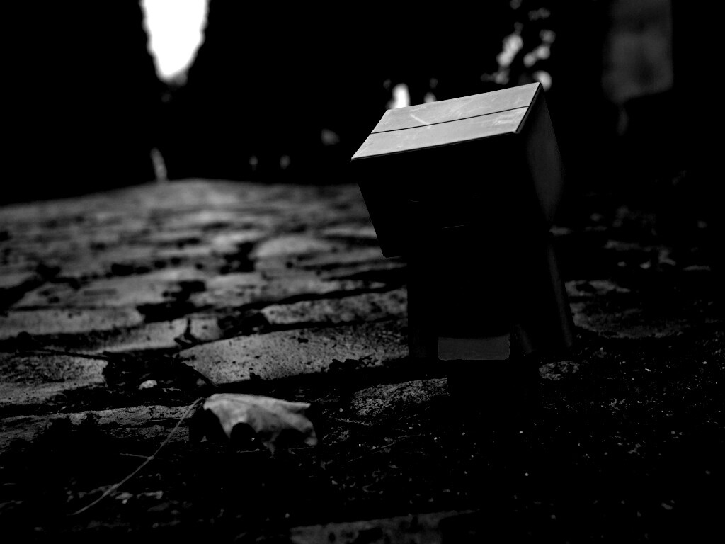 Danbo и первый осенний лист обои