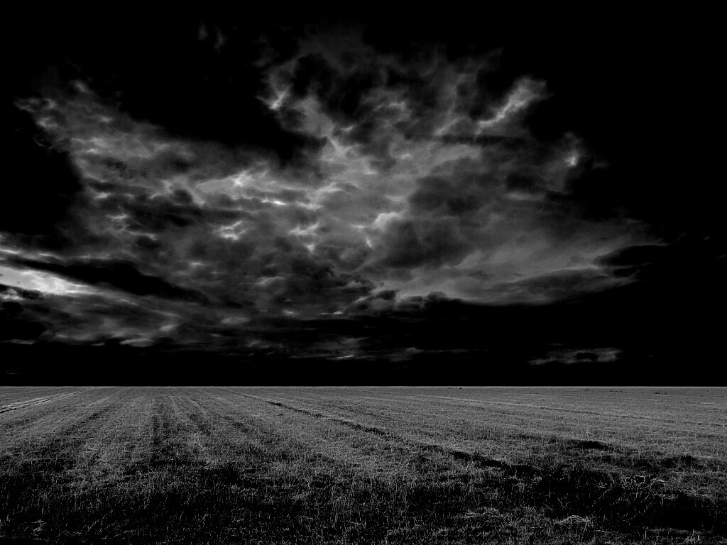 Тучи над желтым полем обои