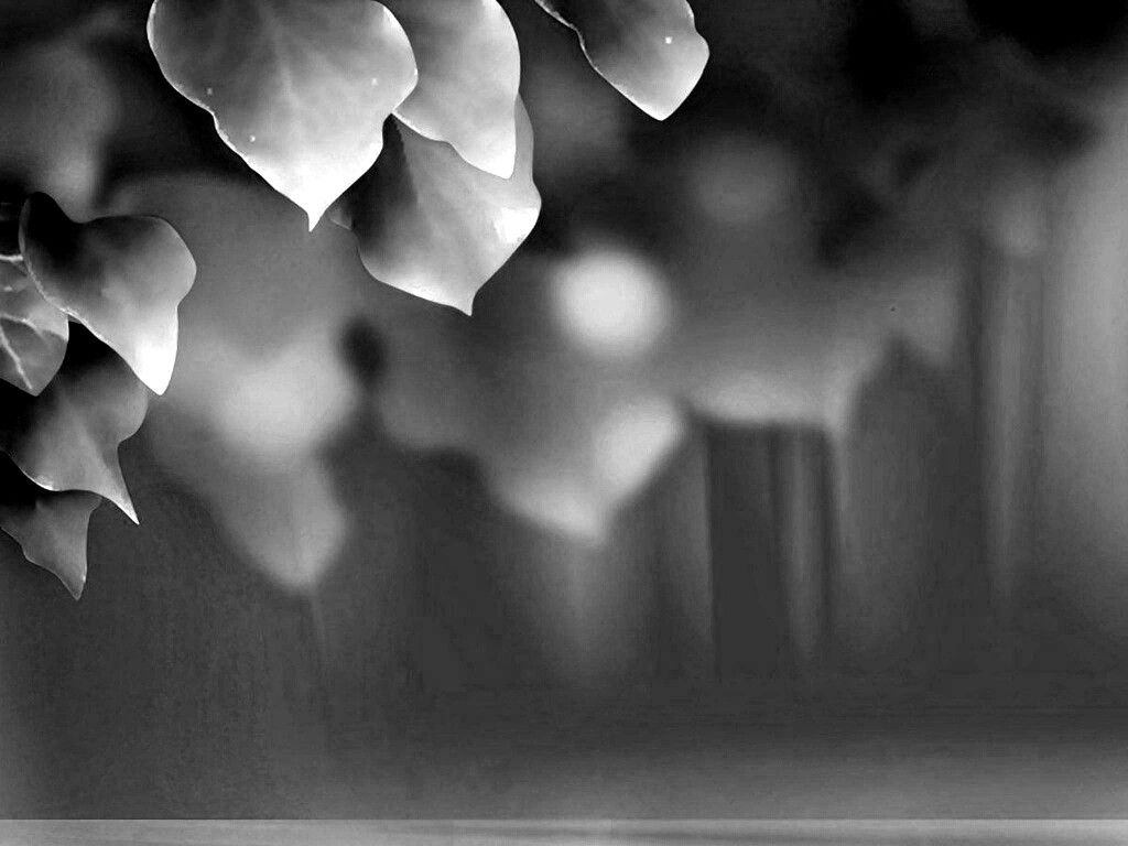 Синие листья обои