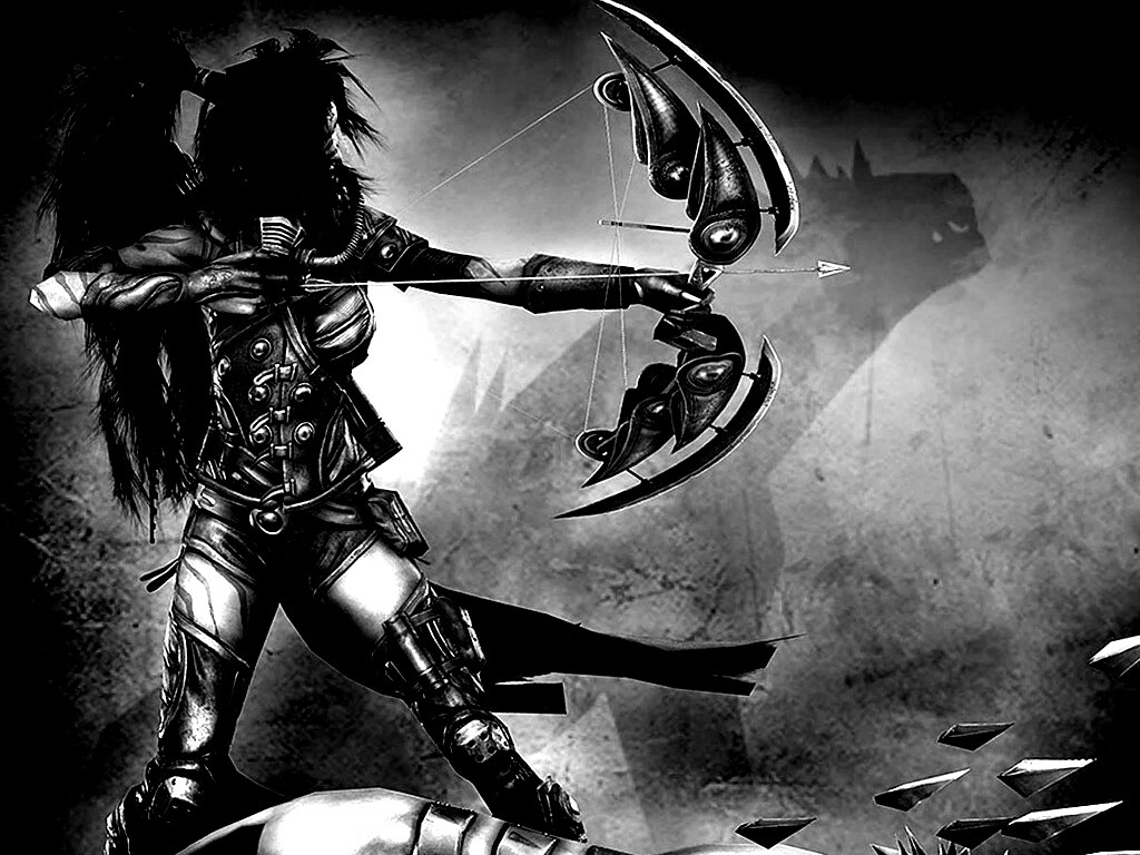 Лучница с боевым псмо обои