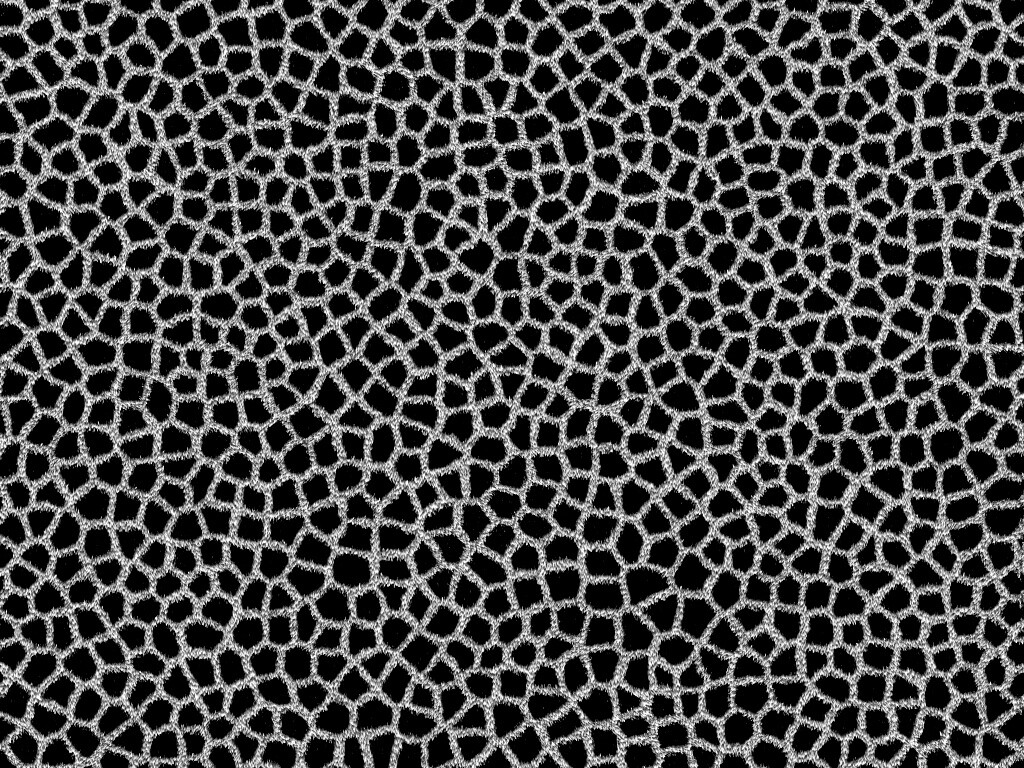 Текстура шкуры жирафа обои