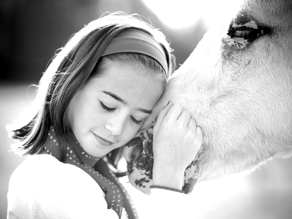 Девочка и лошадь обои