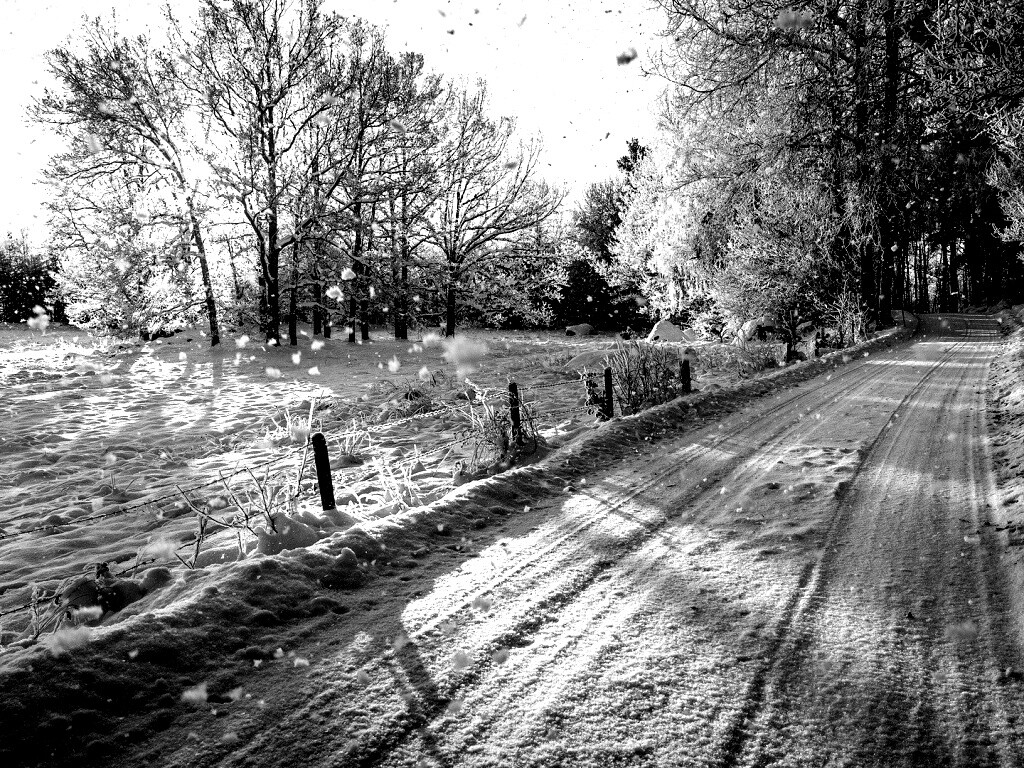 Снежная дорога залитая солнцем обои