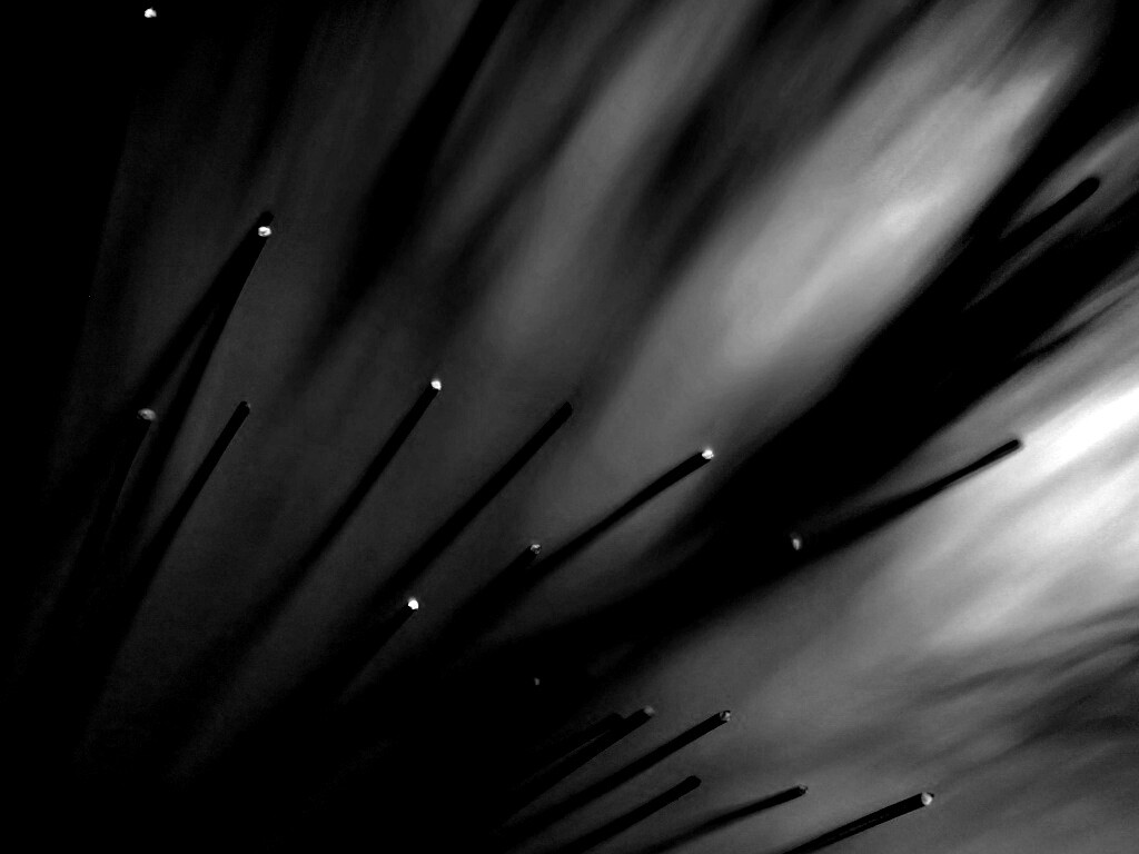 Световоды в рассеяном свете обои