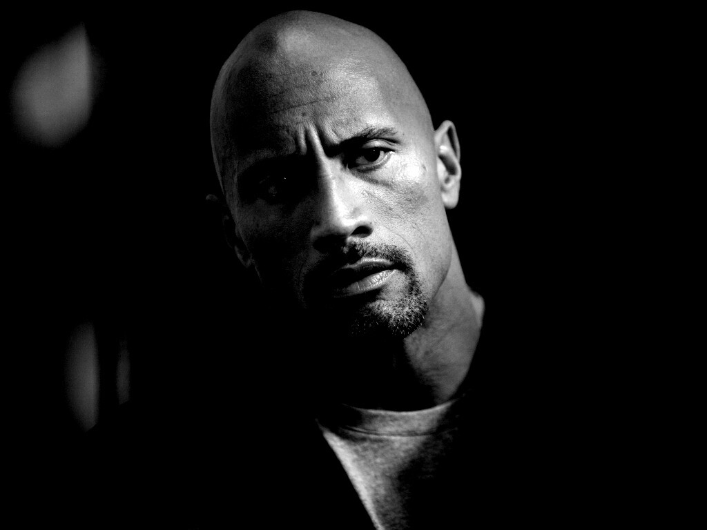 Dwayne johnson, Actor, Bald, Hair, Celebrity обои
