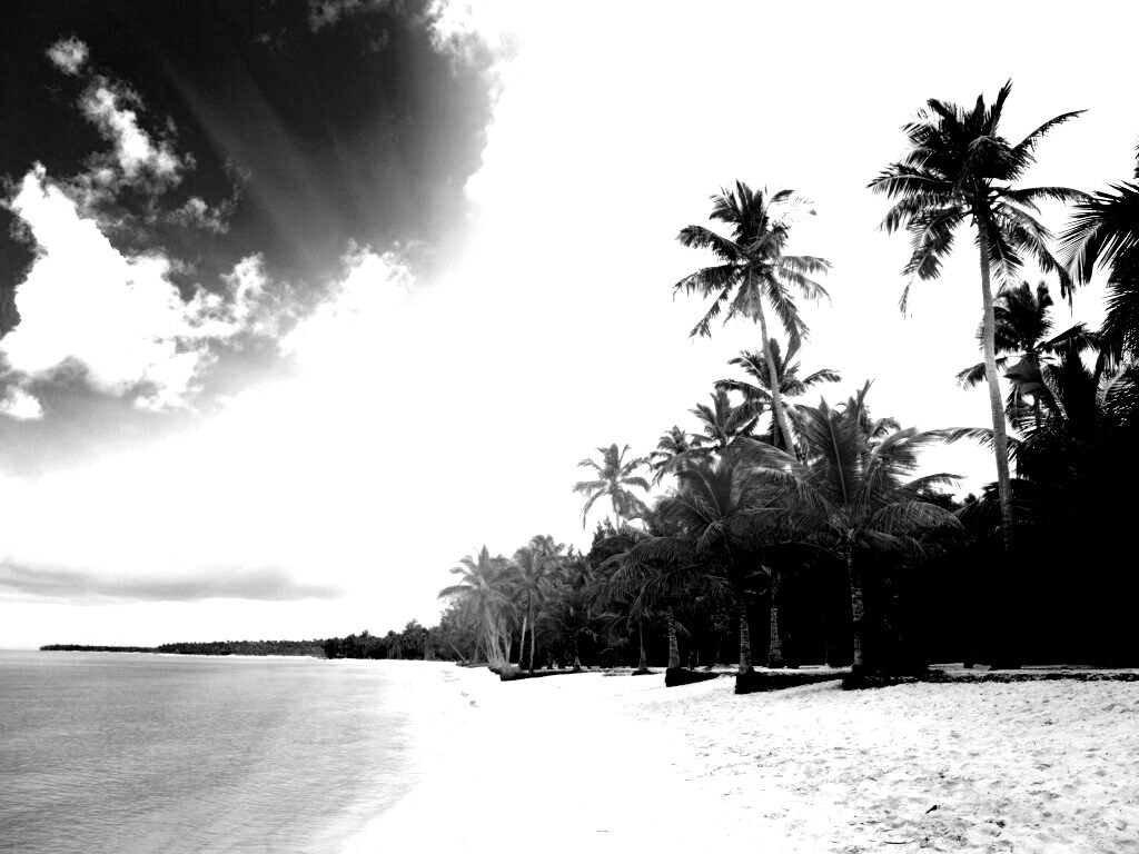 Тропическое побережье обои