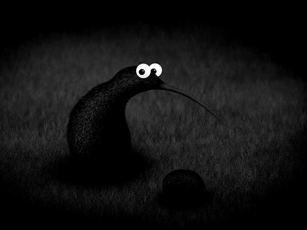 Киви и киви обои