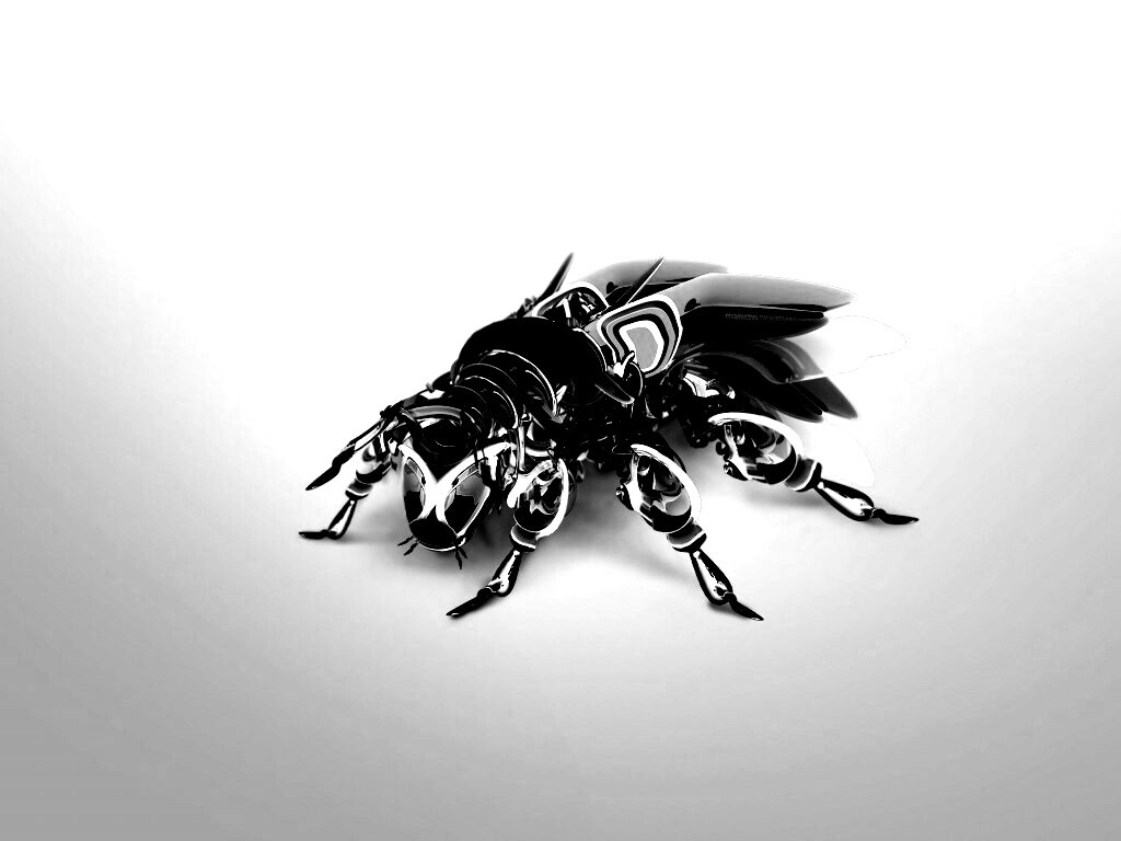Кибер муха обои