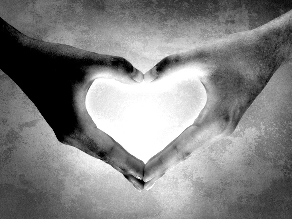 Сердце из сложенных рук обои
