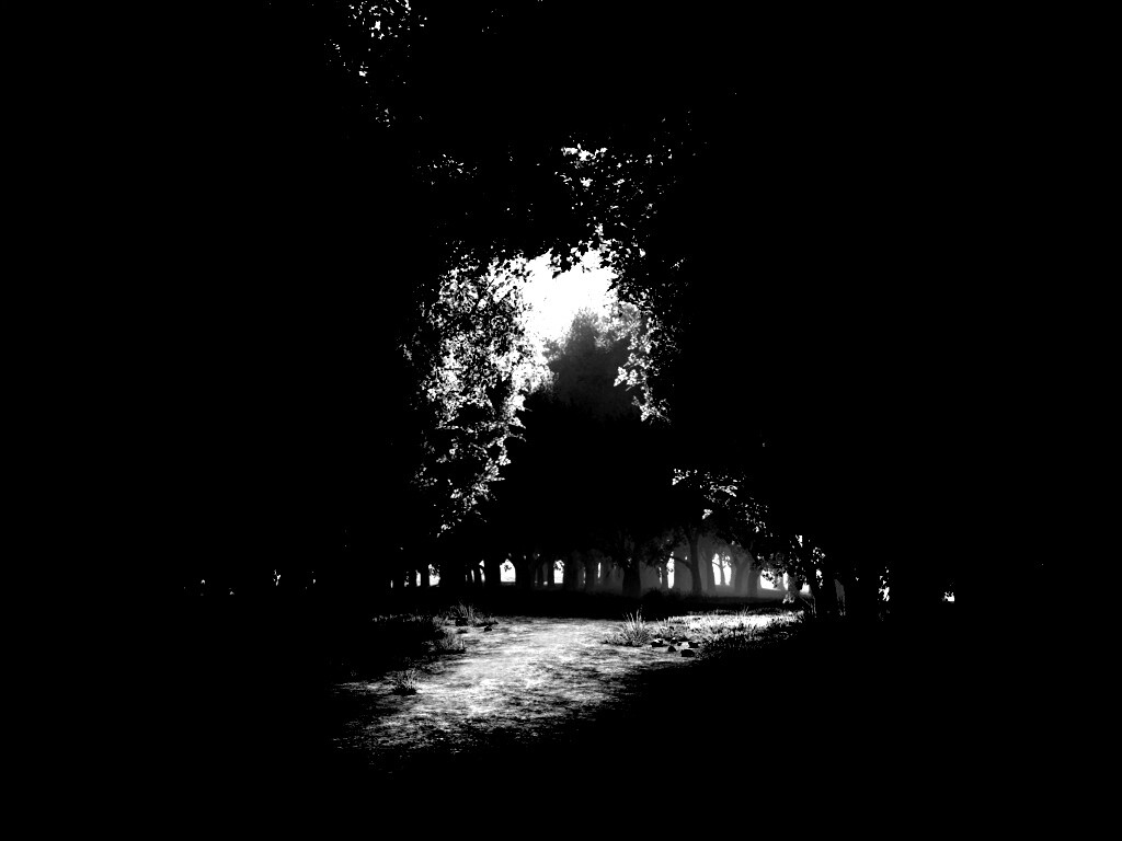 Сумерки в волшебном лесу обои