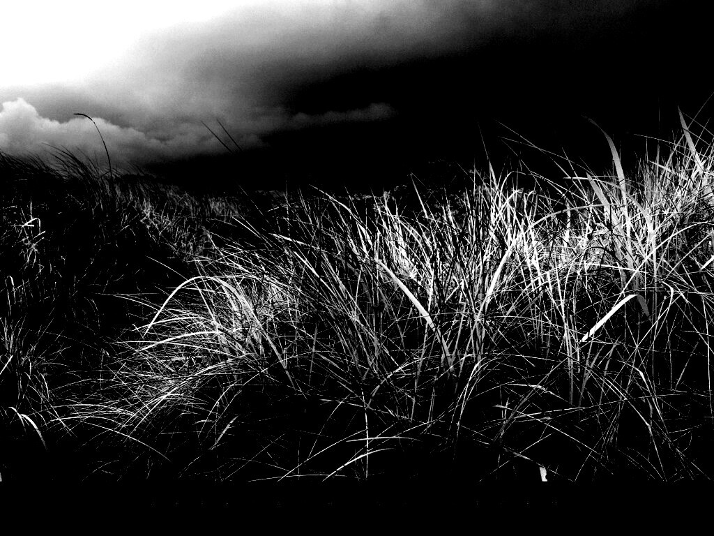 В ожидании шторма обои