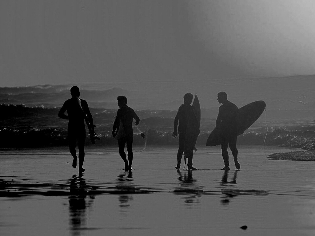 Серфингисты обои