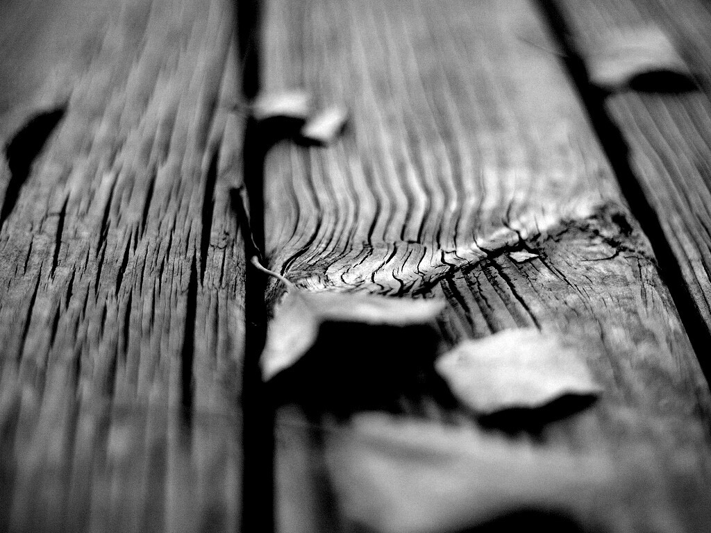 Листья на дощатом полу обои