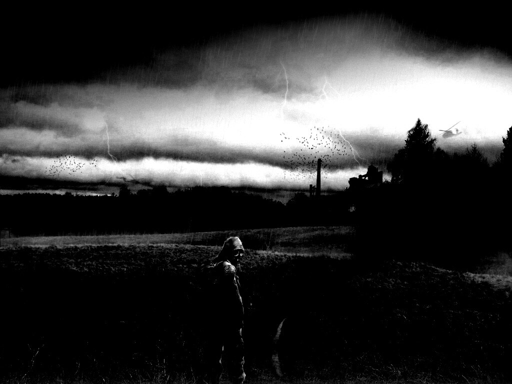 Сталкер под дождем обои