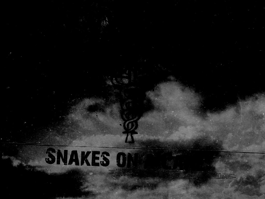 Змеи на трости обои