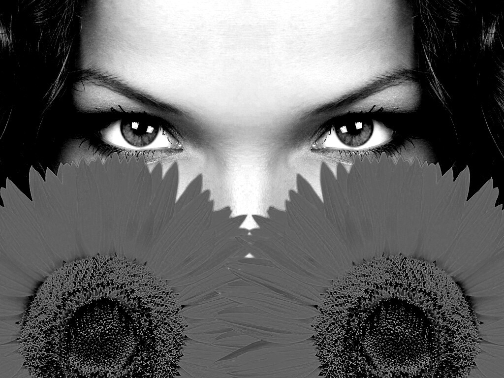 Девушка с желтыми ромашками обои