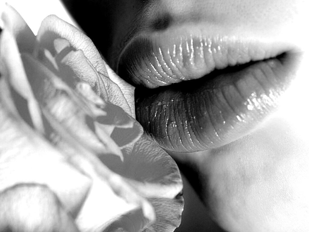 Губы девушки и роза обои