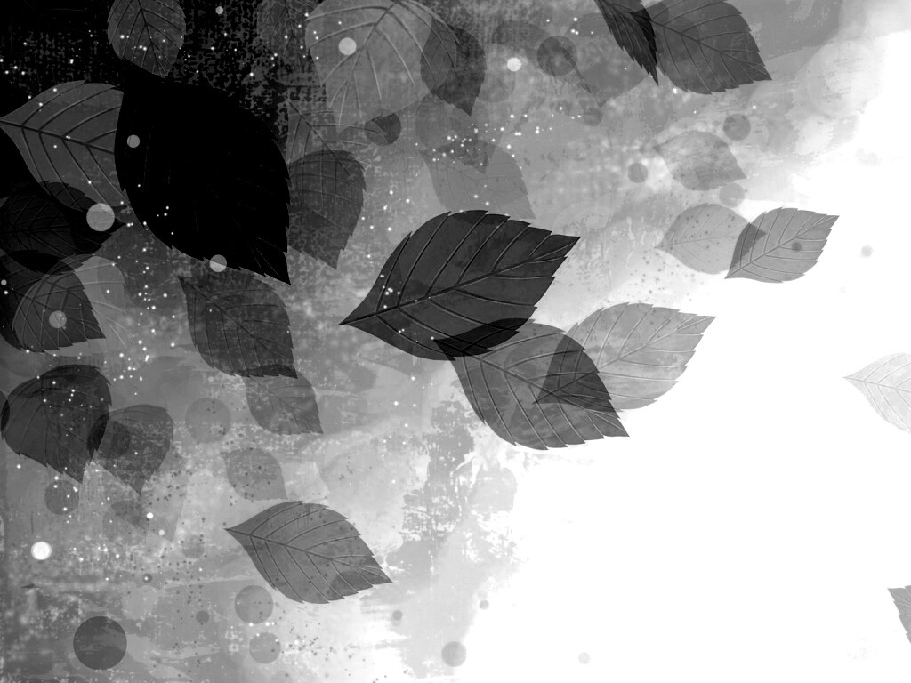 Прозрачные листья обои