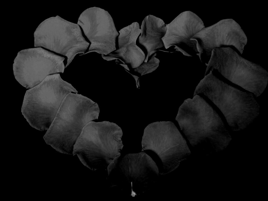 Красивое сердце обои