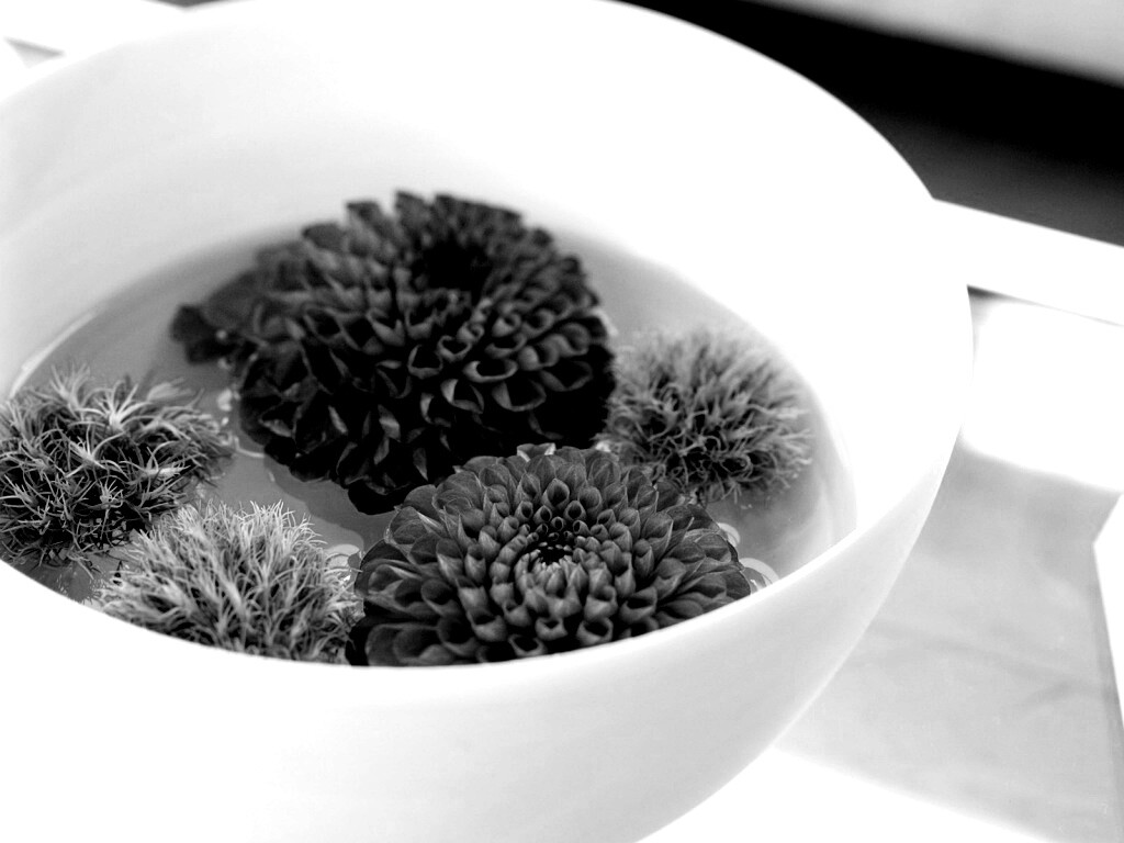 Чаша с цветами обои