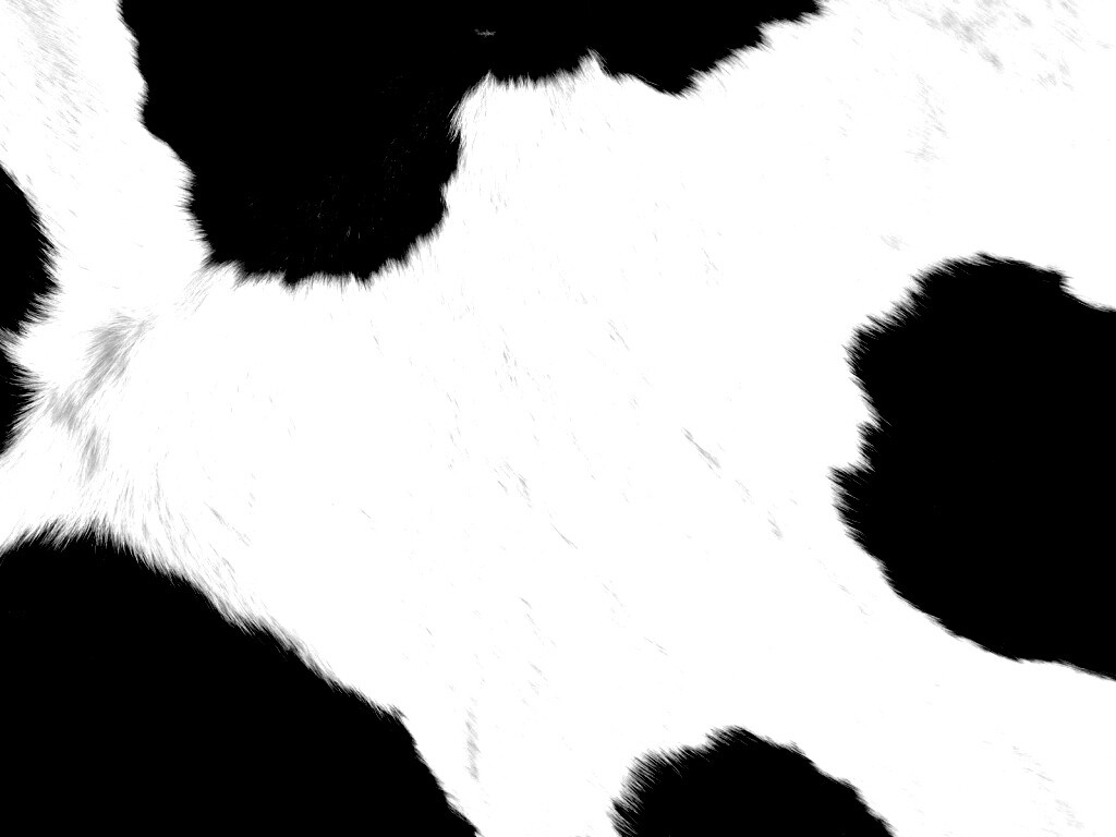 Шкура коровы обои
