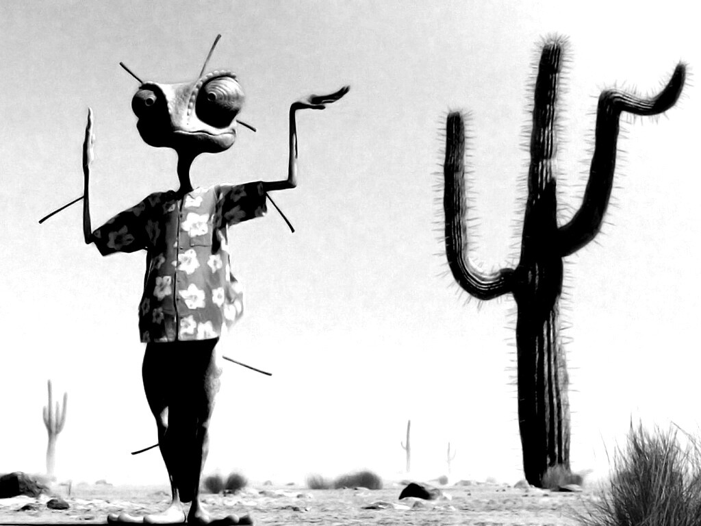 Ранго и кактус обои