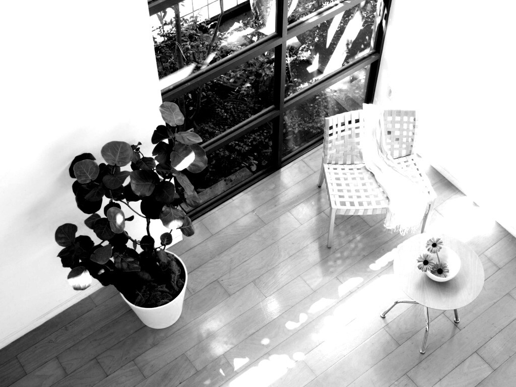 Стул, столик и цветы в комнате обои