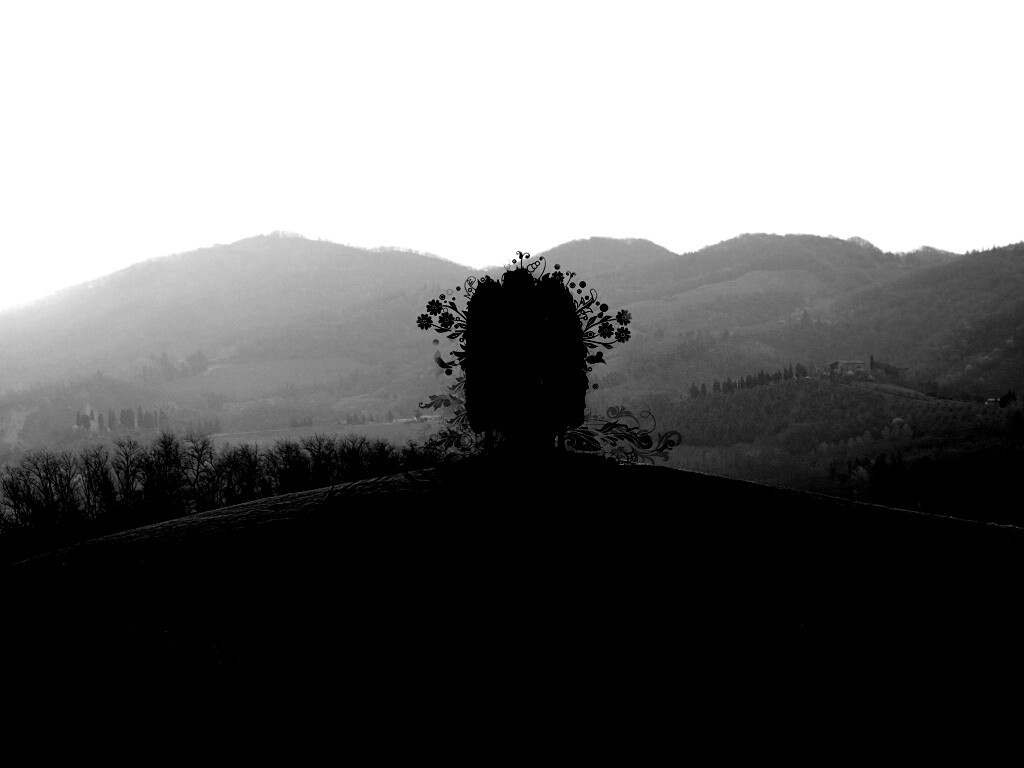 Деревья на холме обои