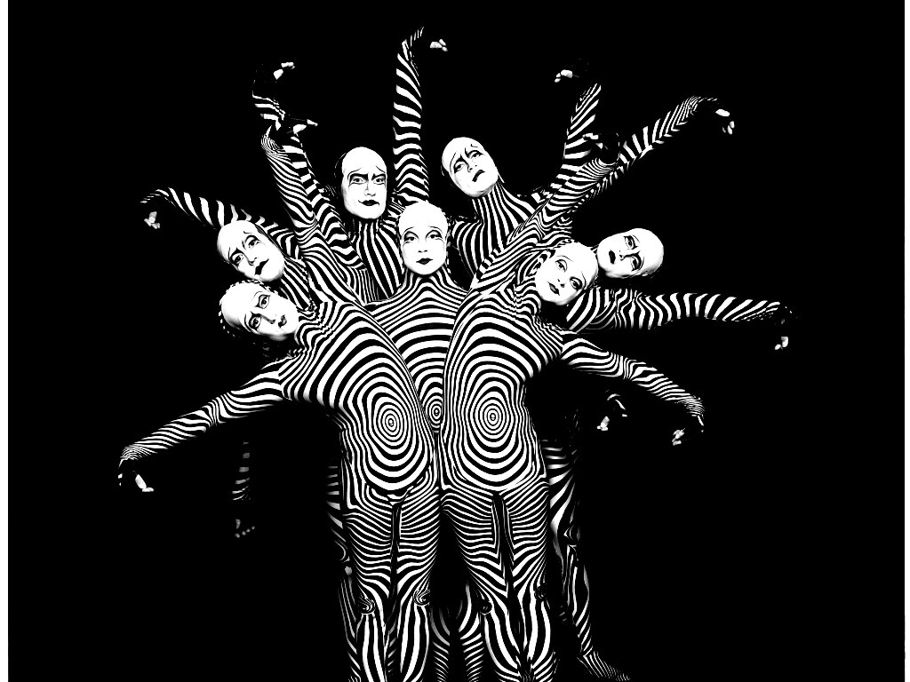 Зеброиды (актеры цирка дю солей) обои