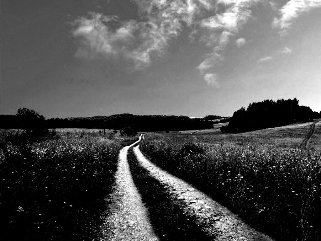 Дорога через луг обои