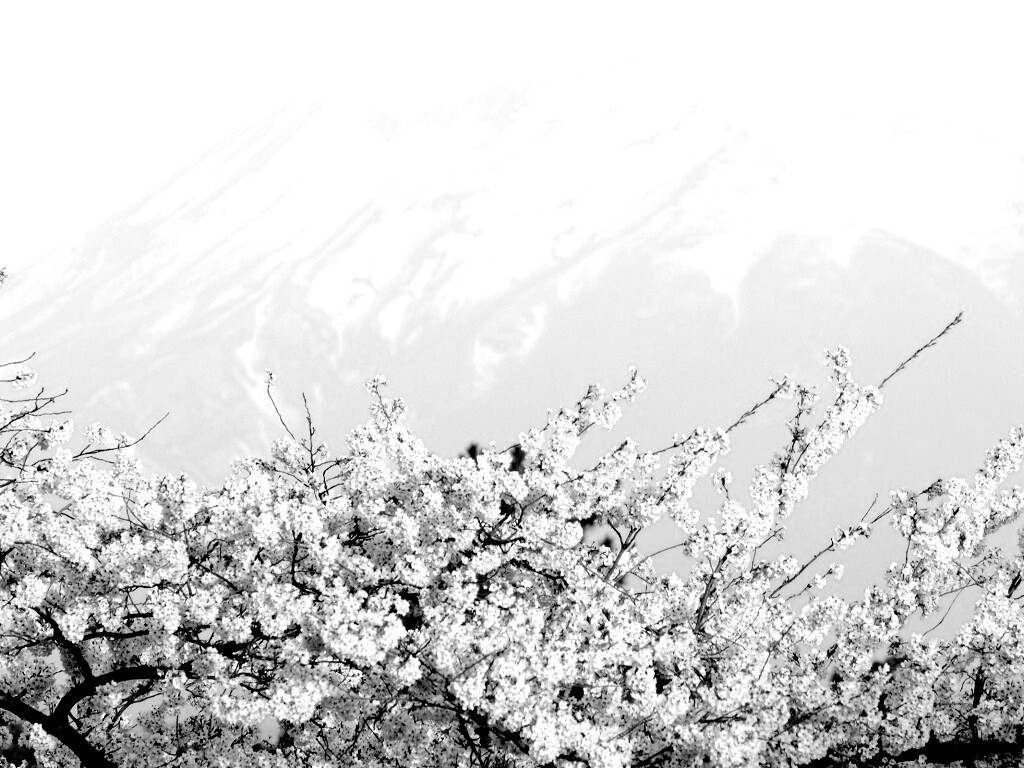 Цветение вишни в горах обои