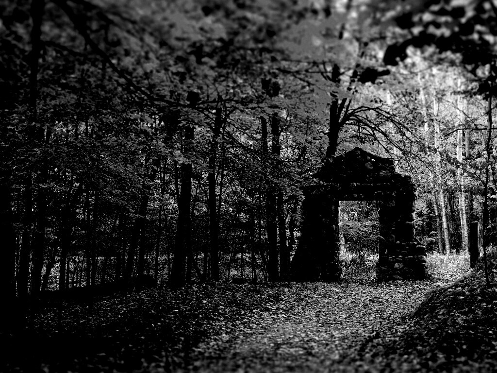 Каменная арка в осеннем лесу обои