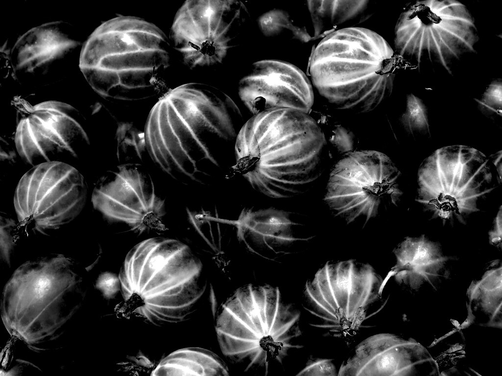 Зелёный крыжовник обои