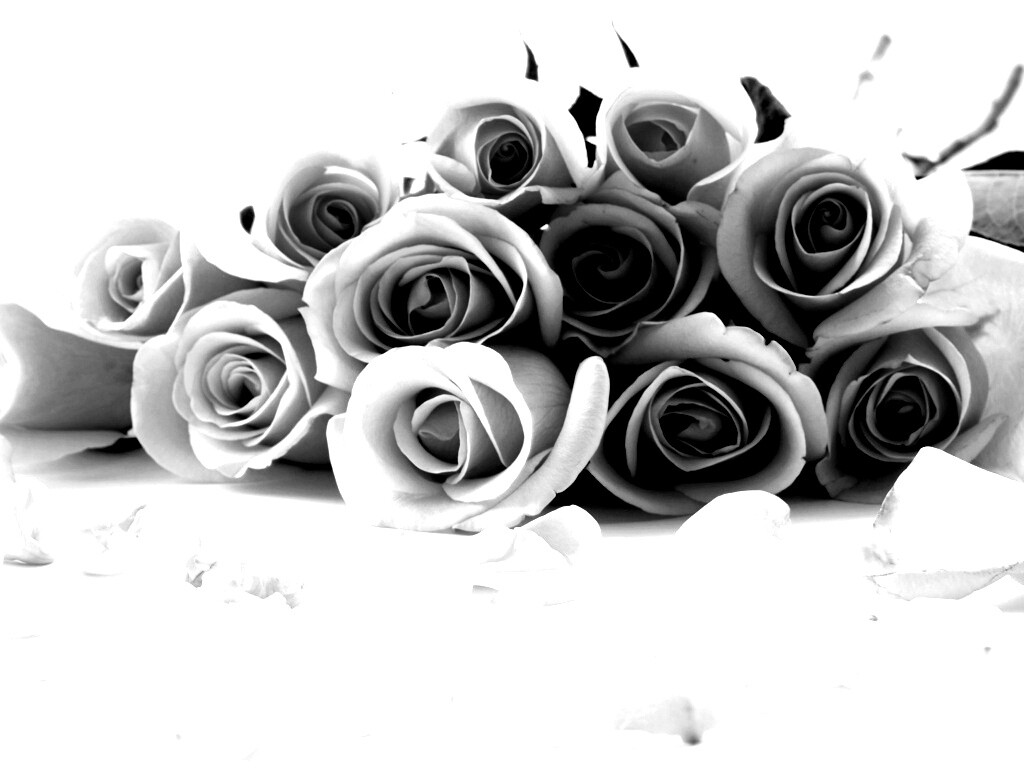 Букет роз обои