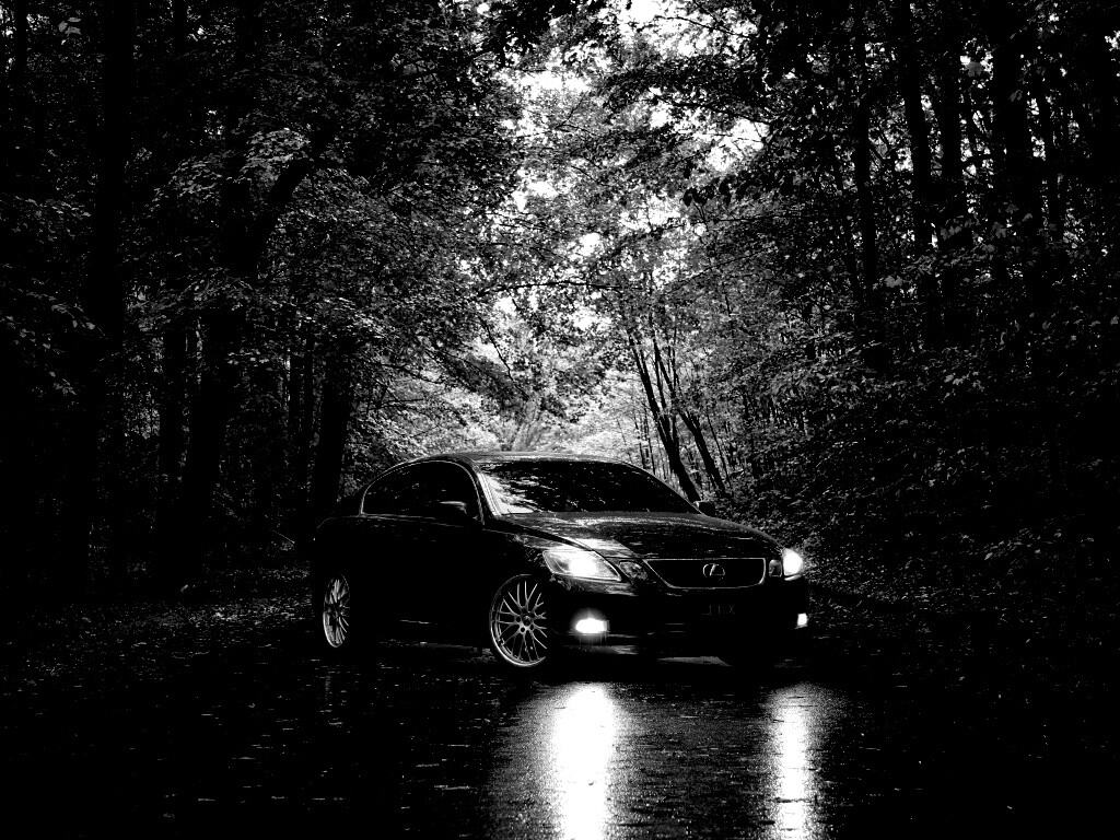 Лексус на лесной дороге обои