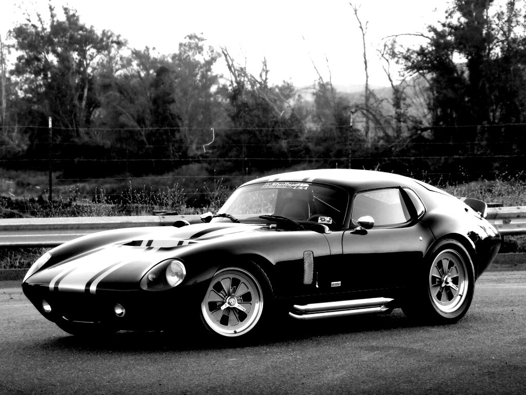Shelby Daytona обои