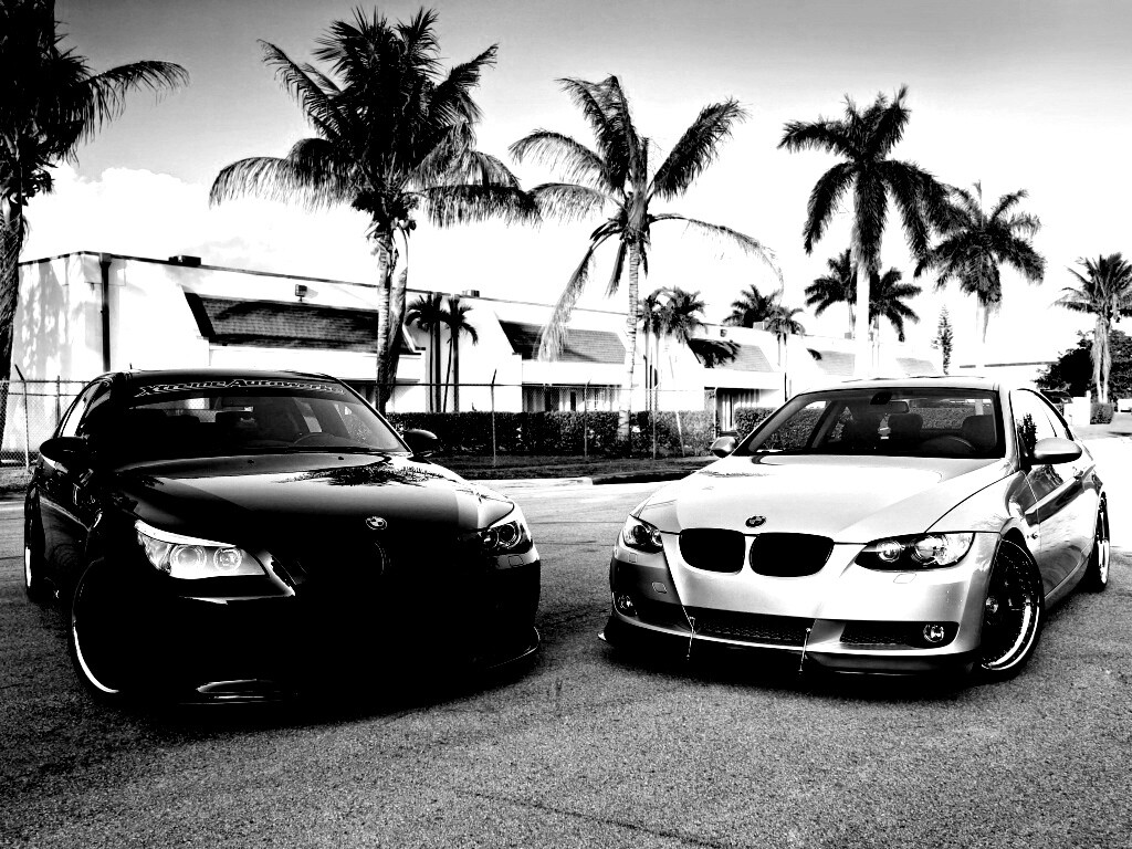 Две БМВ обои