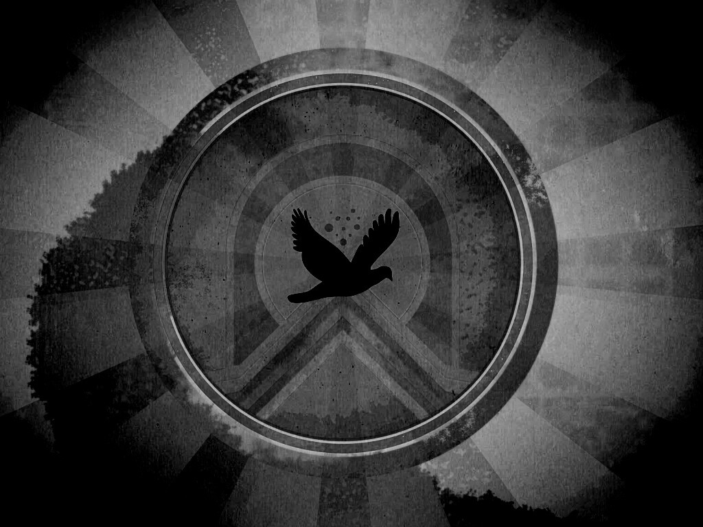 Голубь мира обои