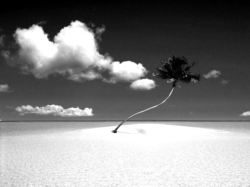 Идеальный пальмовый остров обои